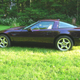 Black Rose Metallic